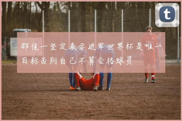 邵佳一坚定表示进军世界杯是唯一目标否则自己不算合格球员