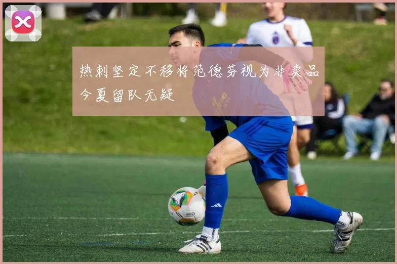 热刺坚定不移将范德芬视为非卖品今夏留队无疑